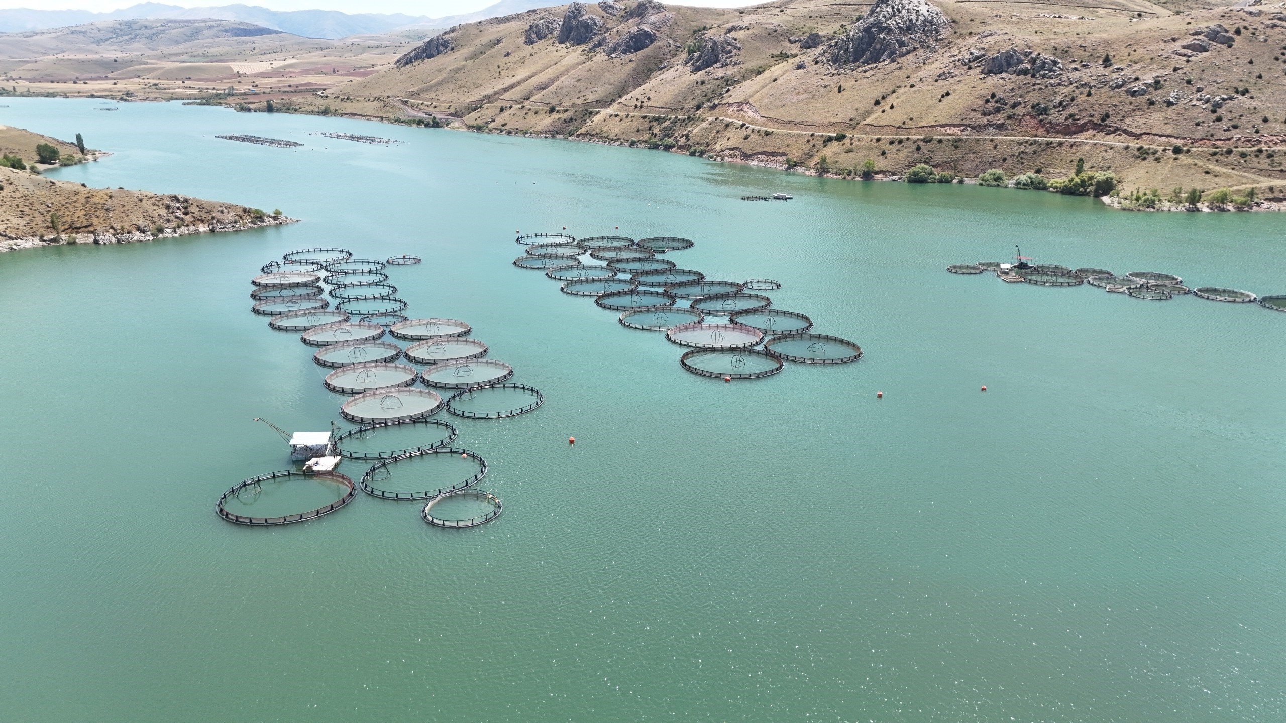 Denizi Olmayan İl, Balık Üretiminde Karadeniz’e Rakip (3)