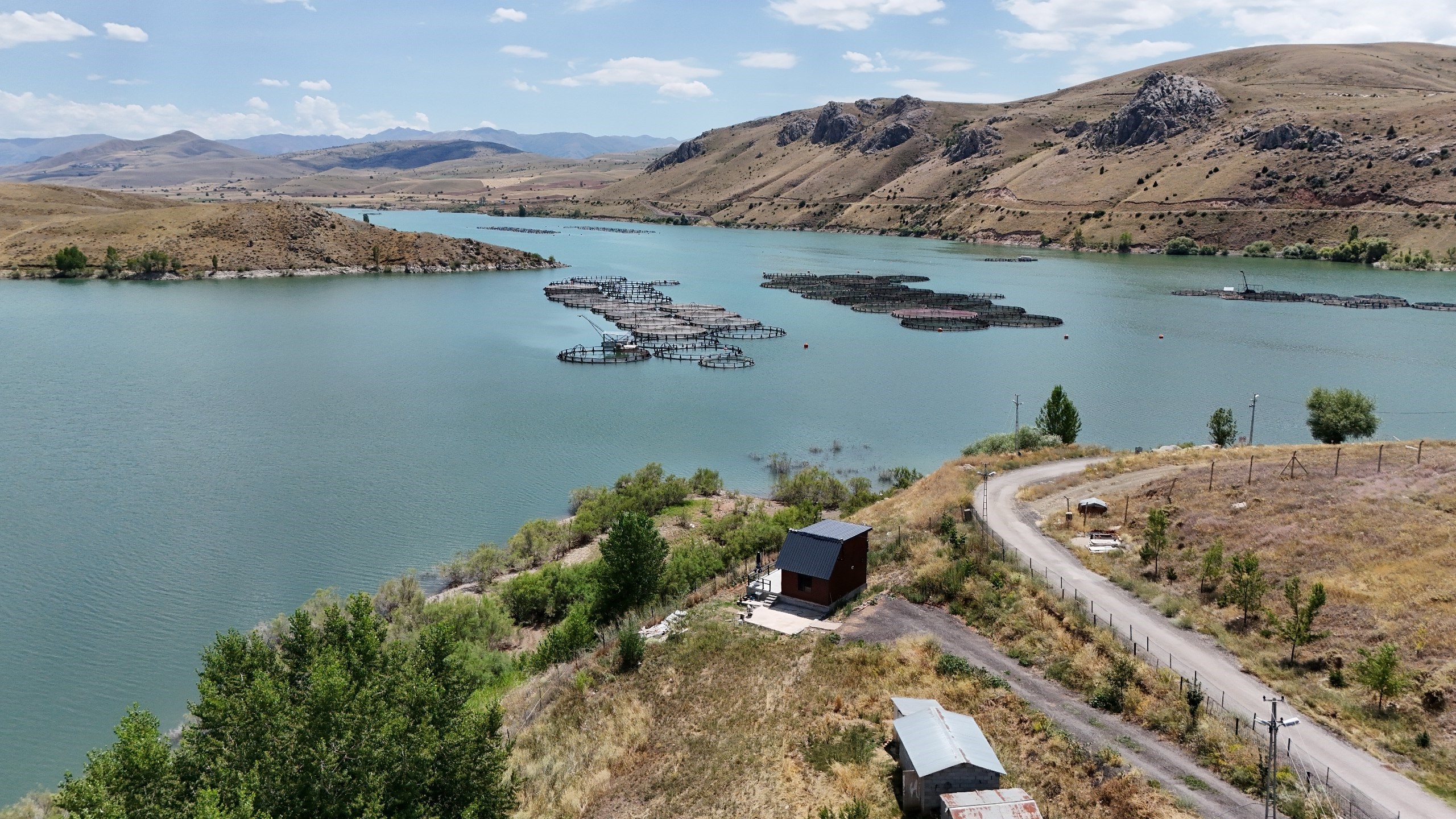 Denizi Olmayan İl, Balık Üretiminde Karadeniz’e Rakip (4)