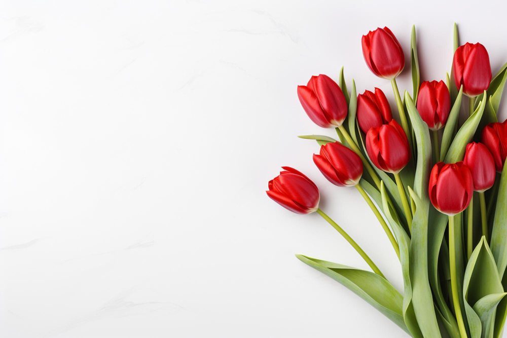 Dünyaya Açılan Çiçeğimiz Lale Laleler Gencgazete (28)