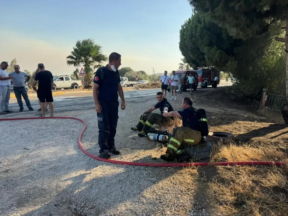 Genç Gazete Balıkesir Erdek’te Elektrik Tellerinden Çıkan Yangın Zeytinliklere Sıçradı 1