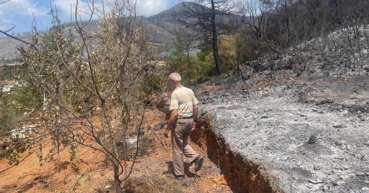 Genç Gazete Bursa Gürsu’daki Yangında 300 Arı Kovanı Yandı, Köyde Yaralar Sarılıyor 2