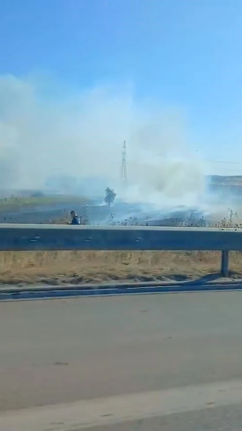 Genç Gazete Bursa İzmir İstanbul Otoyolu Kenarında Otluk Alanda Yangın Paniği 1