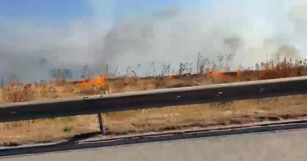 Genç Gazete Bursa İzmir İstanbul Otoyolu Kenarında Otluk Alanda Yangın Paniği