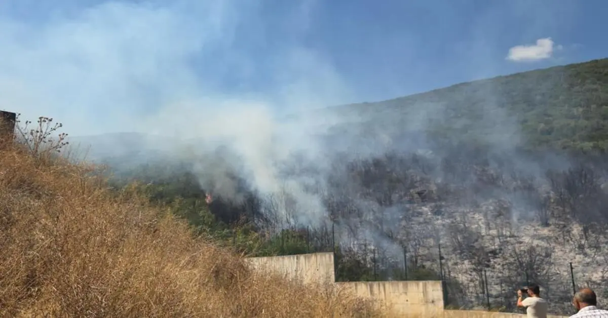 Genç Gazete Bursa Orhangazi’de Orman Yangını 5 Dönüm Alan Kül Oldu 11