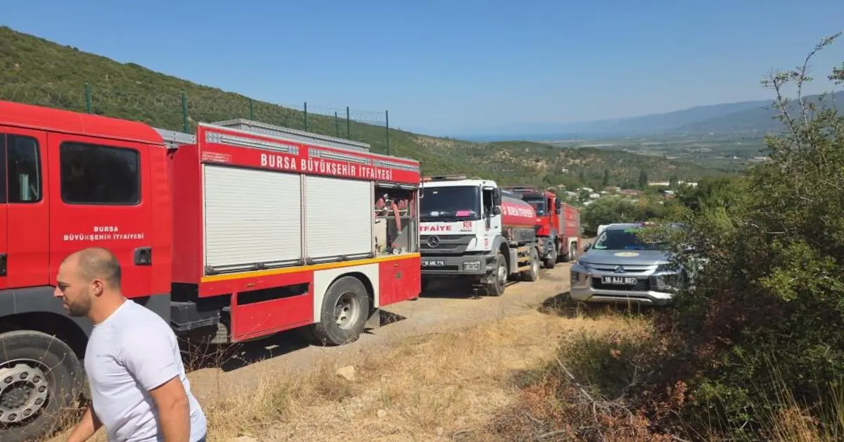 Genç Gazete Bursa Orhangazi’de Orman Yangını 5 Dönüm Alan Kül Oldu 2