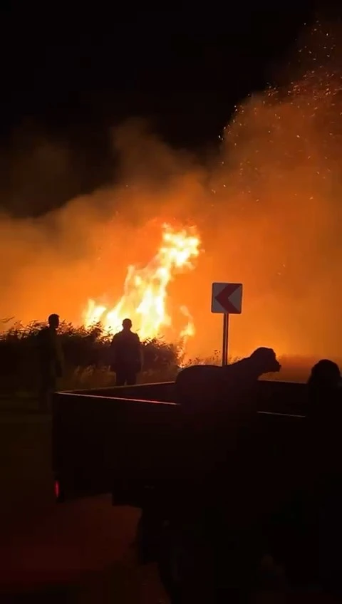 Genç Gazete Bursa’da Bir Yangın Daha Meyve Bahçesi Alevlere Teslim Oldu-1