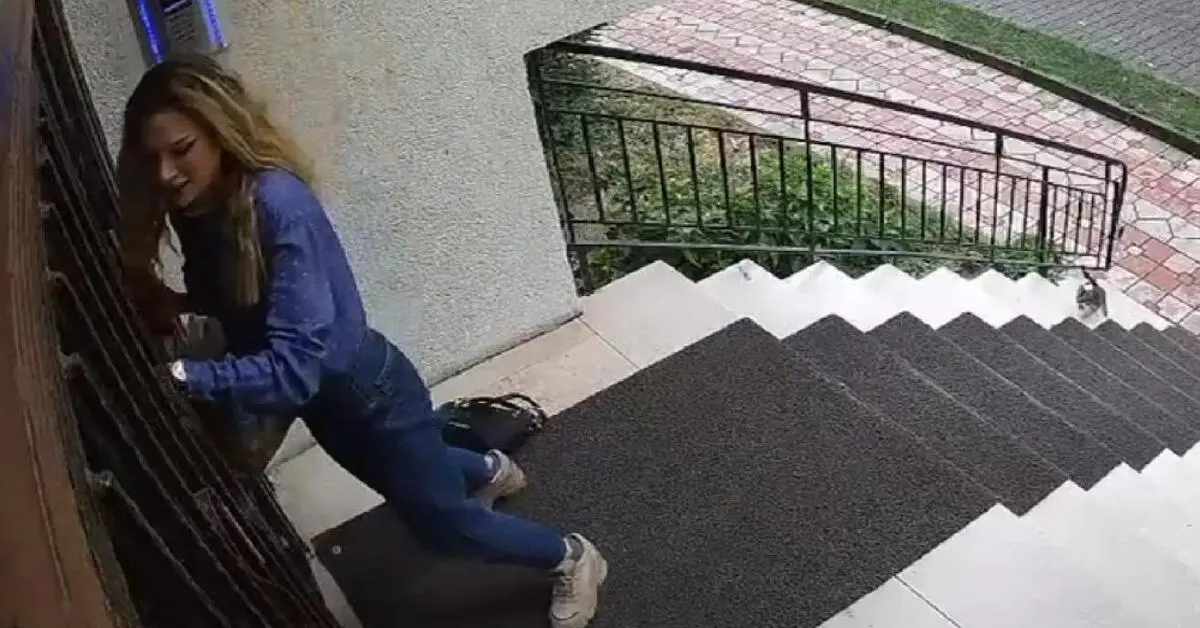 Genç Gazete Bursa’da Güldüren Kovalamaca İşe Giderken Yavru Kediler Peşine Takıldı-2