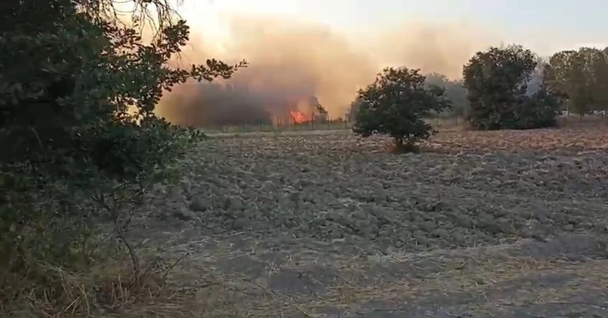 Genç Gazete Bursa'da Korkutan Yangın Ekipler Seferber Oldu 1