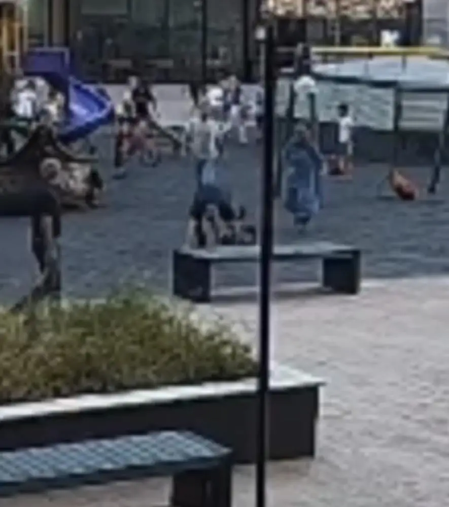 Genç Gazete Bursa'da Parkta Oynayan Çocukları Yerden Yere Vurdu 2