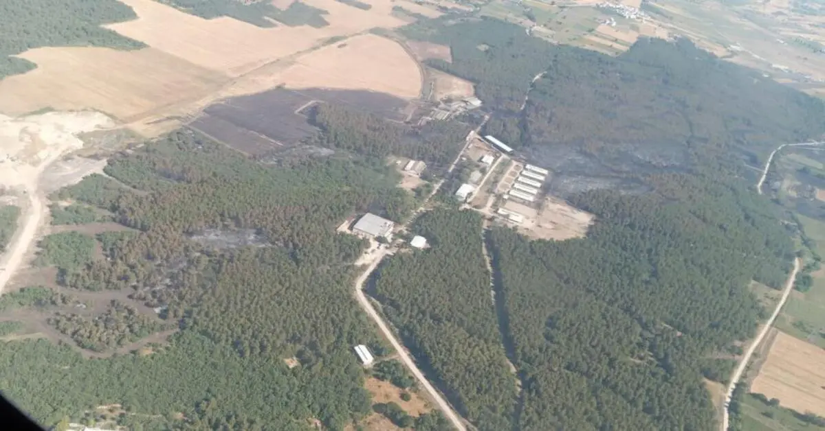 Genç Gazete Bursa’da Yanan Ormanlar Yeşile Dönecek Ağaçlandırma Seferberliği Başlıyor