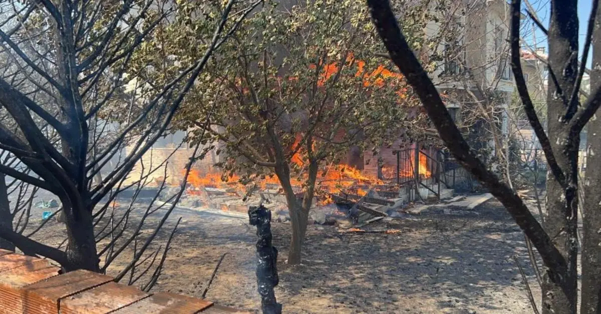 Genç Gazete Çanakkale’de Orman Yangını Büyüyor! Boğaz Ve Havalimanı Ulaşıma Kapatıldı 1