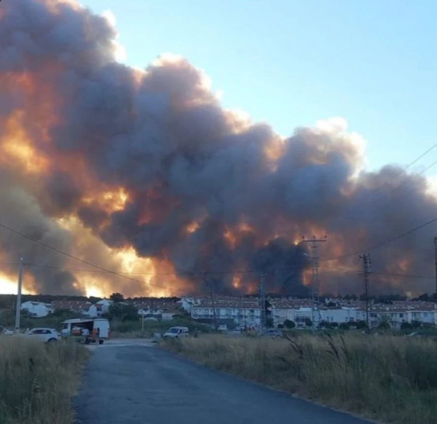 Genç Gazete Enez’de Tarla Yangını Ormana Sıçradı Yazlık Evler Tehdit Altında 1