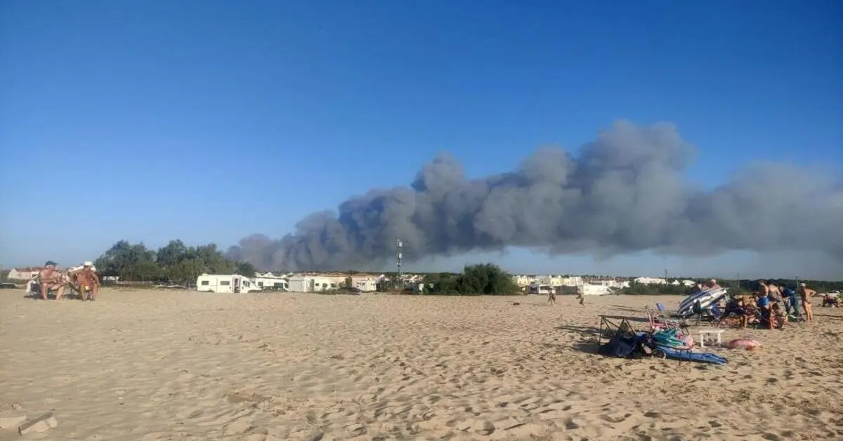 Genç Gazete Enez’de Tarla Yangını Ormana Sıçradı Yazlık Evler Tehdit Altında 2