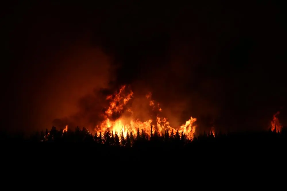 Genç Gazete Gelibolu’daki Orman Yangınında 5 Köyden 251 Kişi Tahliye Edildi 1