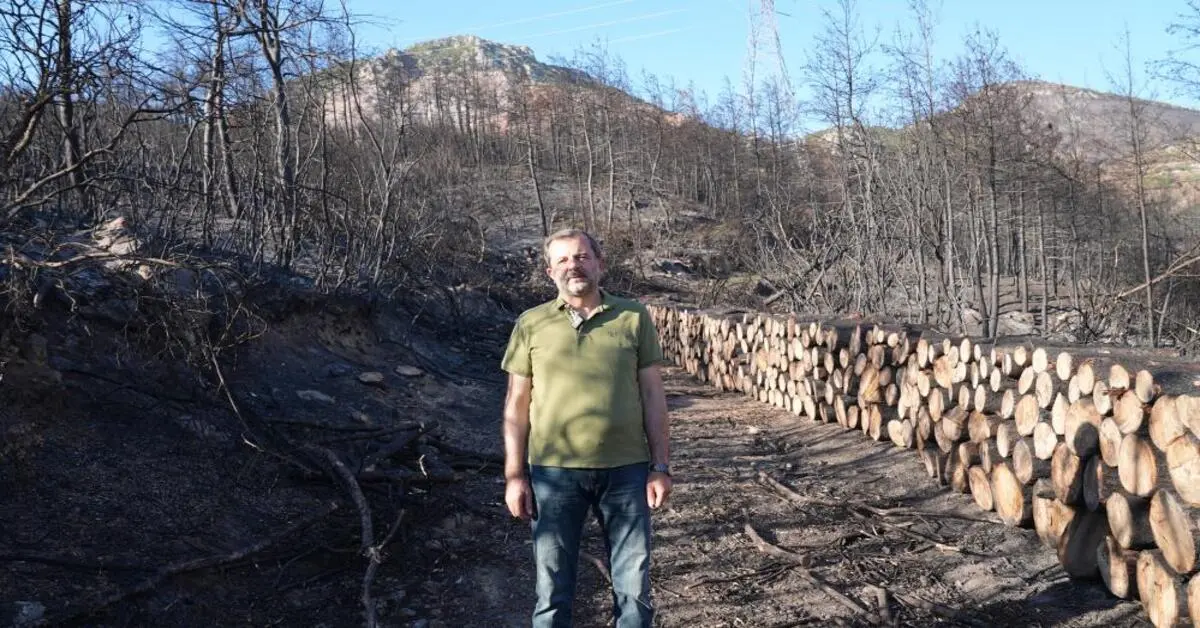 Genç Gazete Gürsu Şehitlerini Hatıra Ormanı Ile Anacak