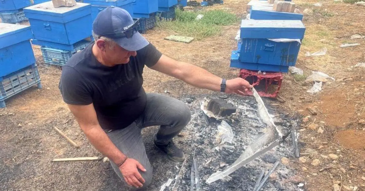 Genç Gazete Gürsu'daki Orman Yangınında Milyonlarca Arı Telef Oldu 1