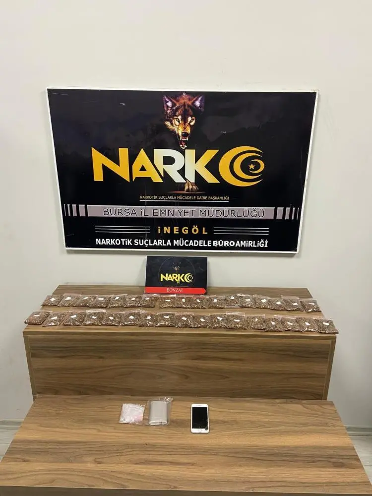 Genç Gazete İnegöl’de Ev Baskını Buzdolabında 330 Gram Bonzai Ele Geçirildi