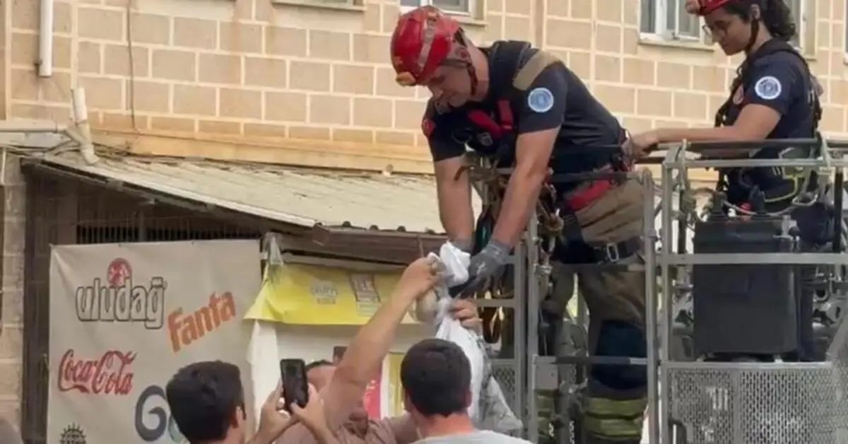 Genç Gazete İznik'te Cami Kubbesinde Mahsur Kalan Leyleği İtfaiye Kurtardı 2