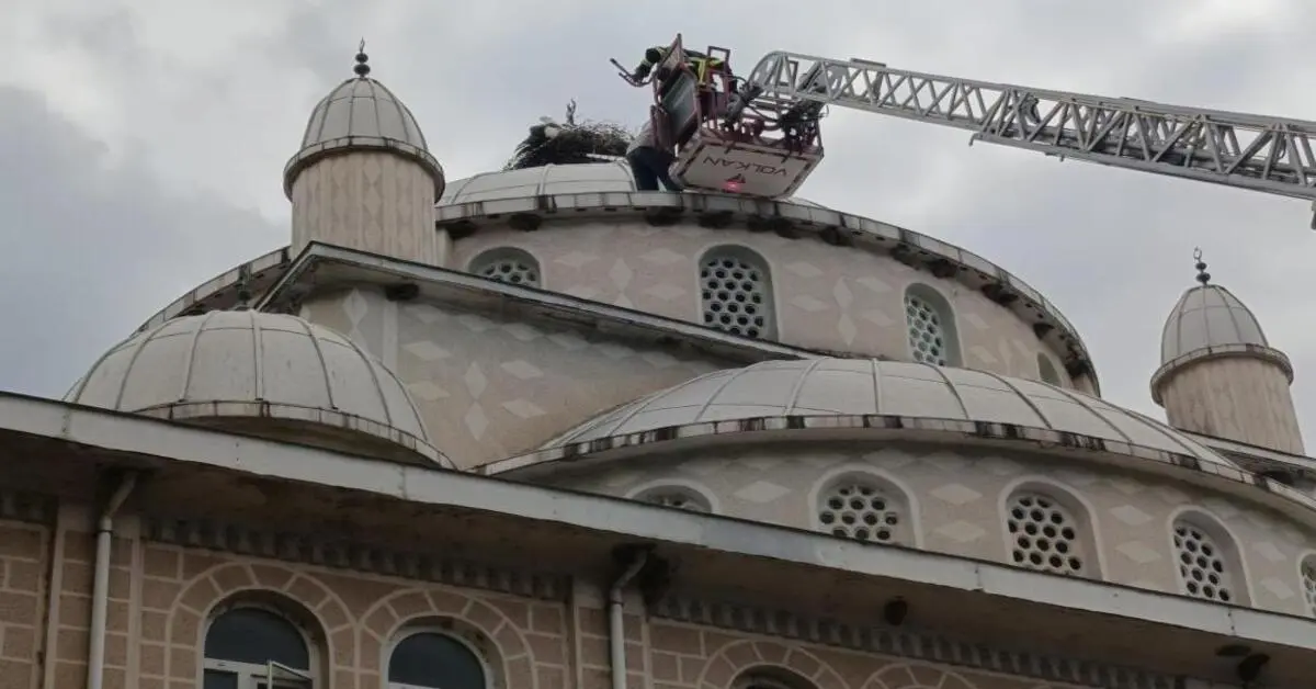 Genç Gazete İznik'te Cami Kubbesinde Mahsur Kalan Leyleği İtfaiye Kurtardı