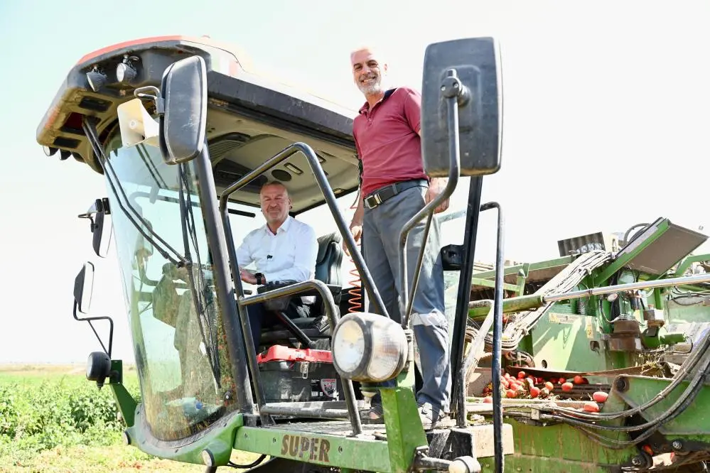 Genç Gazete Karacabey'de Salçalık Domates Hasadı Başladı Günlük 35 Bin Ton İşleniyor