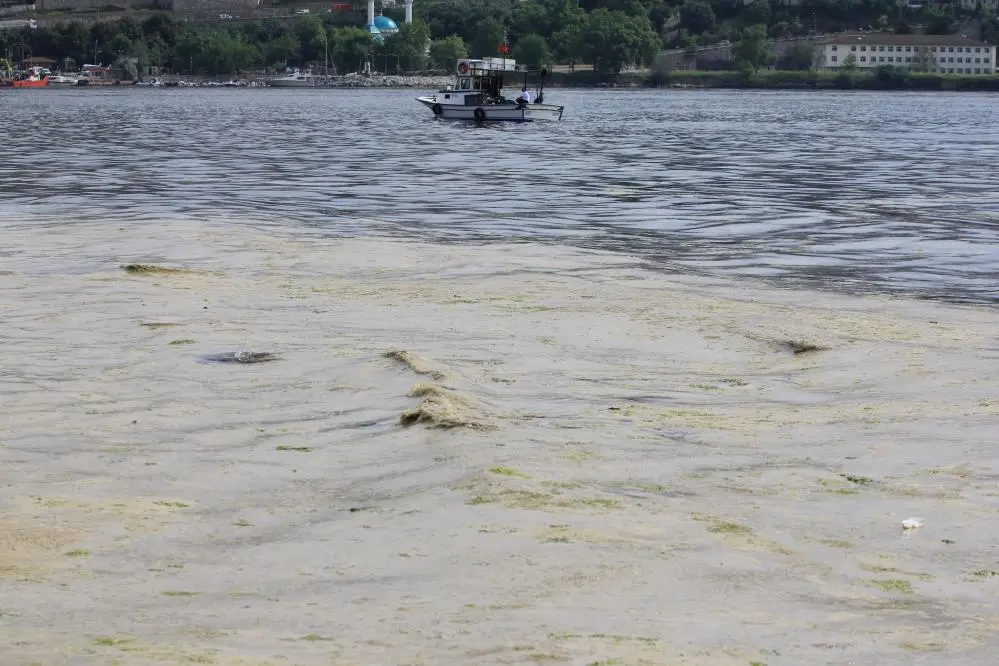 Genç Gazete Küçük Balıkçılara Müjde Müsilaj Zararı Karşılanacak 25