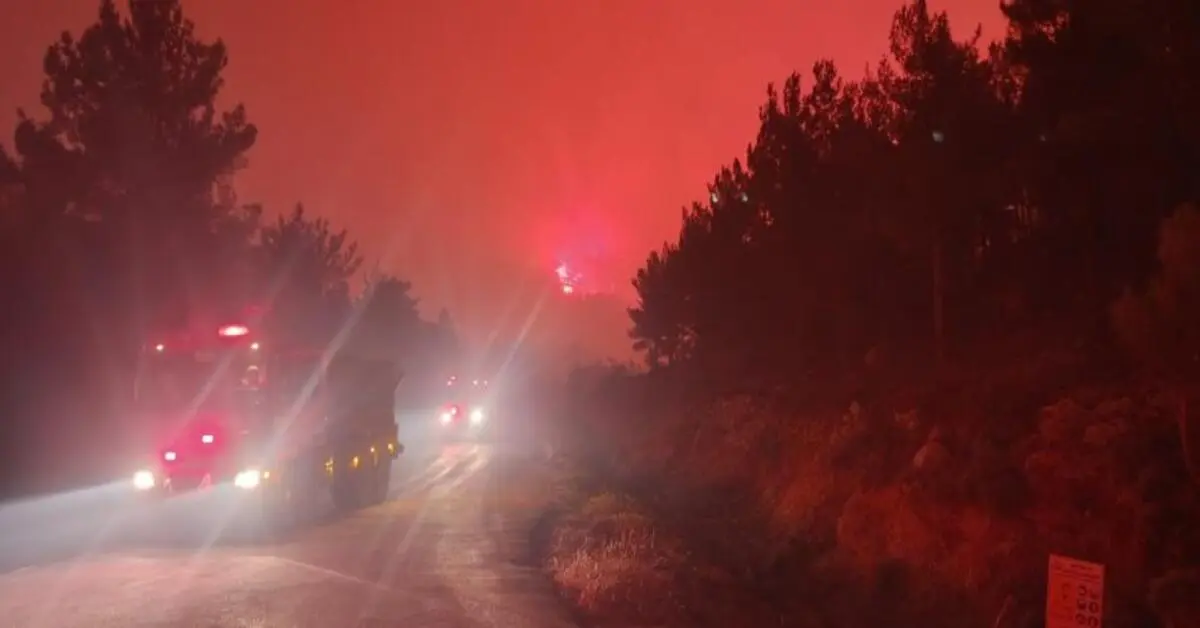 Genç Gazete Mersin'deki Orman Yangını Yerleşim Yerlerini Tehdit Ediyor 2