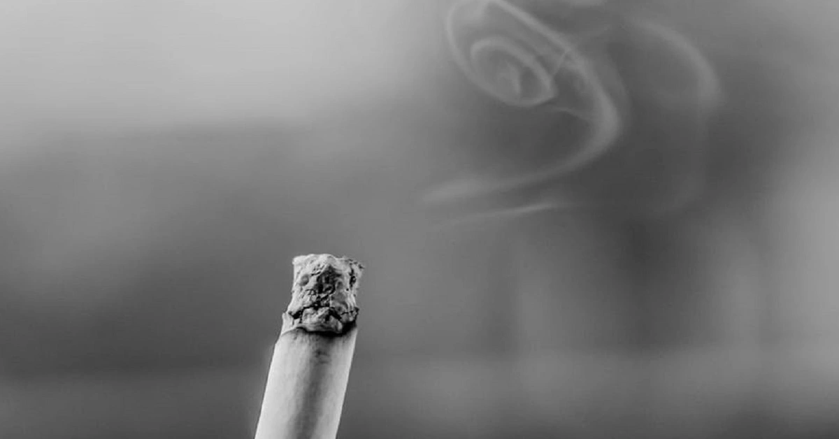 Genç Gazete Nikotin Nedir Nikotinin İnsan Sağlığına Zararları Nelerdir 2