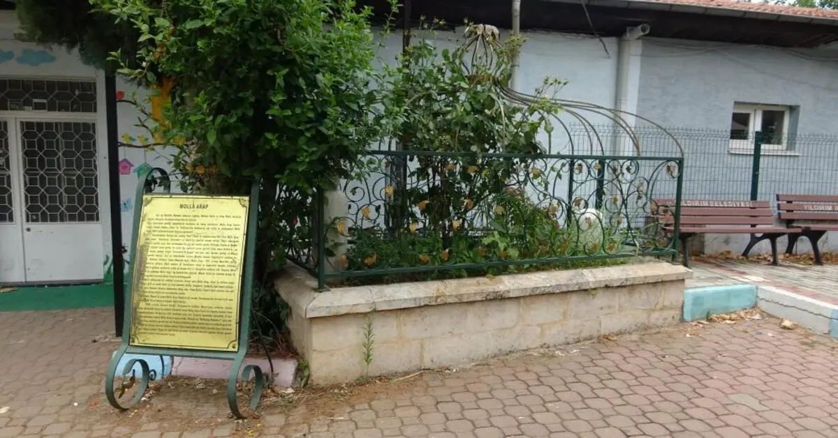 Genç Gazete Osmanlı'nın Önemli Aliminin Kabri, Bursa'da Yalnızlığa Terk Edildi