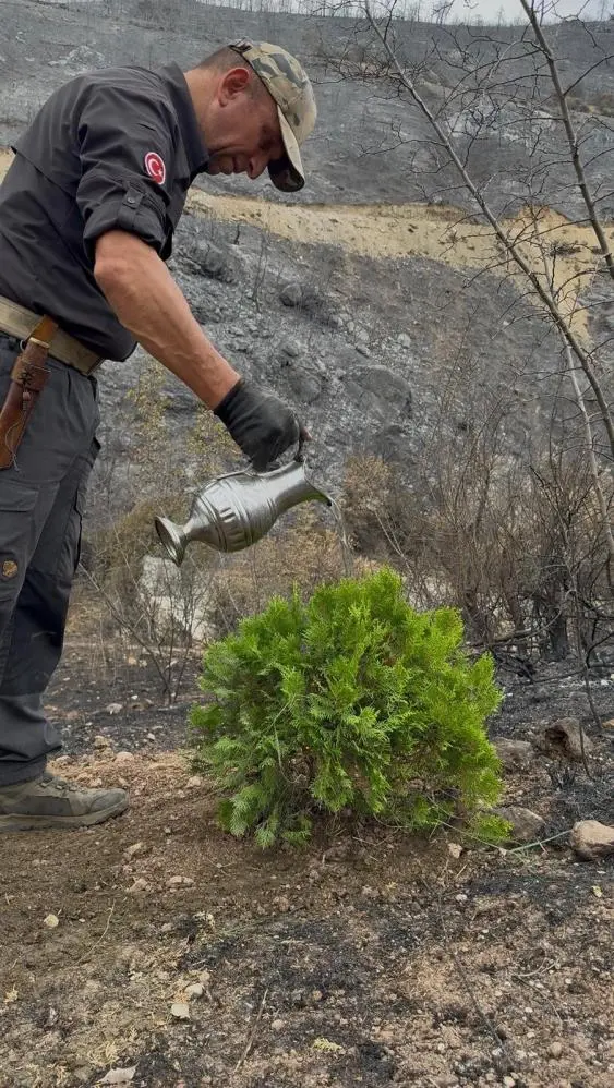 Genç Gazete Sosyal Medya Fenomeni, Bursa’daki Yangın Bölgesine İlk Fidanı Dikti 1