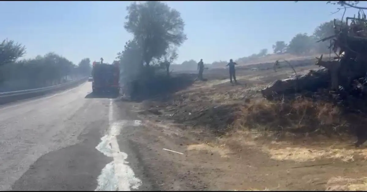 Genç Gazete Tekirdağ’da Alevler Tarla Ve Ormanı Sardı 10 Ev Boşaltıldı 2