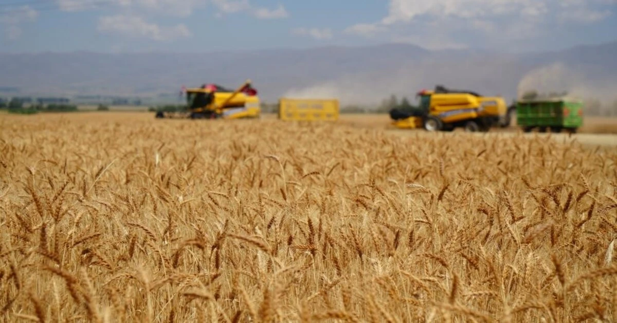Genç Gazete Türkiye’de 5 Binden Fazla Biçerdöver Ekonomik Ömrünü Tamamladı 1