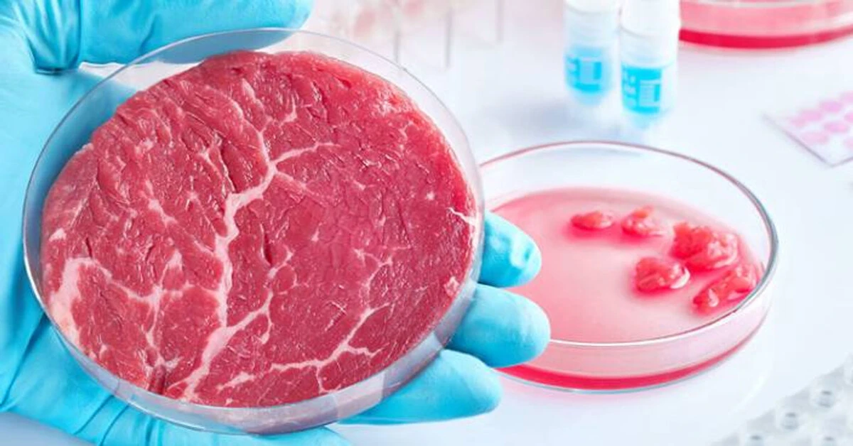 Genç Gazete Yapay Et Nedir, Nasıl Ayırt Edilir Ve Sağlığımıza Risk Oluşturur Mu 1