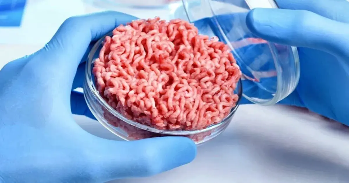 Genç Gazete Yapay Et Nedir, Nasıl Ayırt Edilir Ve Sağlığımıza Risk Oluşturur Mu 2