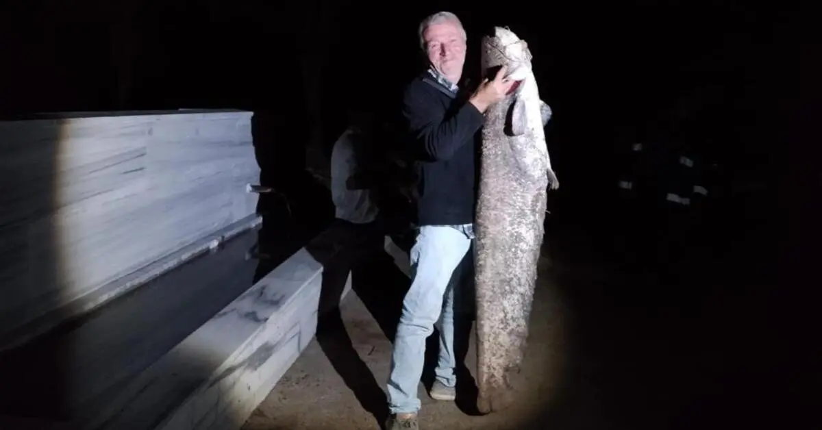 Genç Gazete Yenişehir Çiçeközü Barajı’nda Dev Yayın Balığı Yakalandı