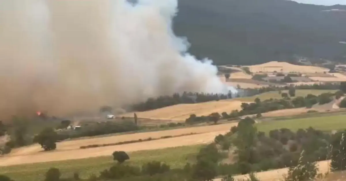 Genç Gazete Yenişehir'de Orman Yangını Havadan Ve Karadan Müdahale Sürüyor-1