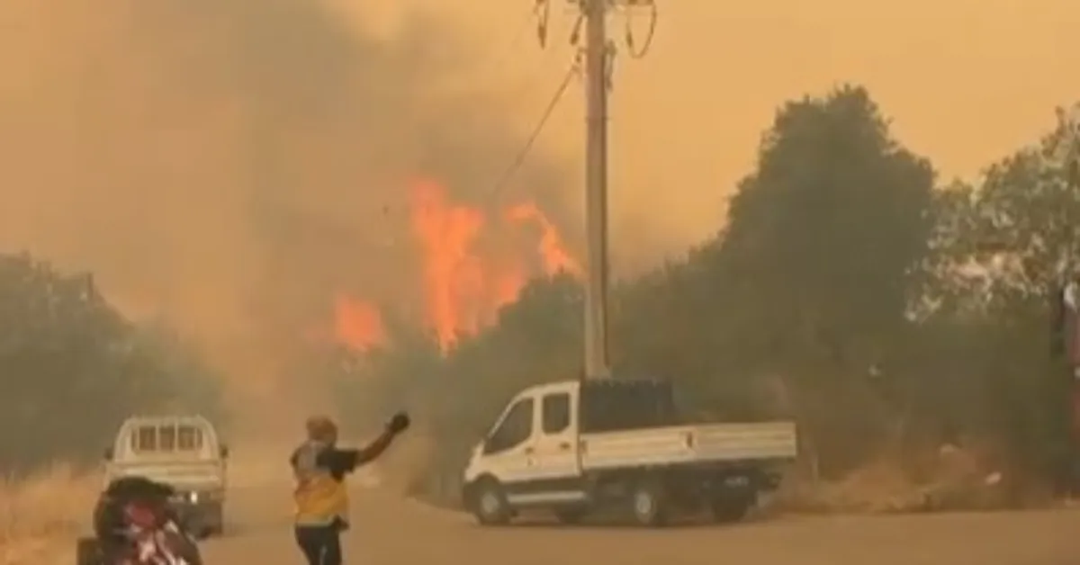 İznik Karamürsel Arasında Orman Yangını Kontrol Altına Alınamıyor