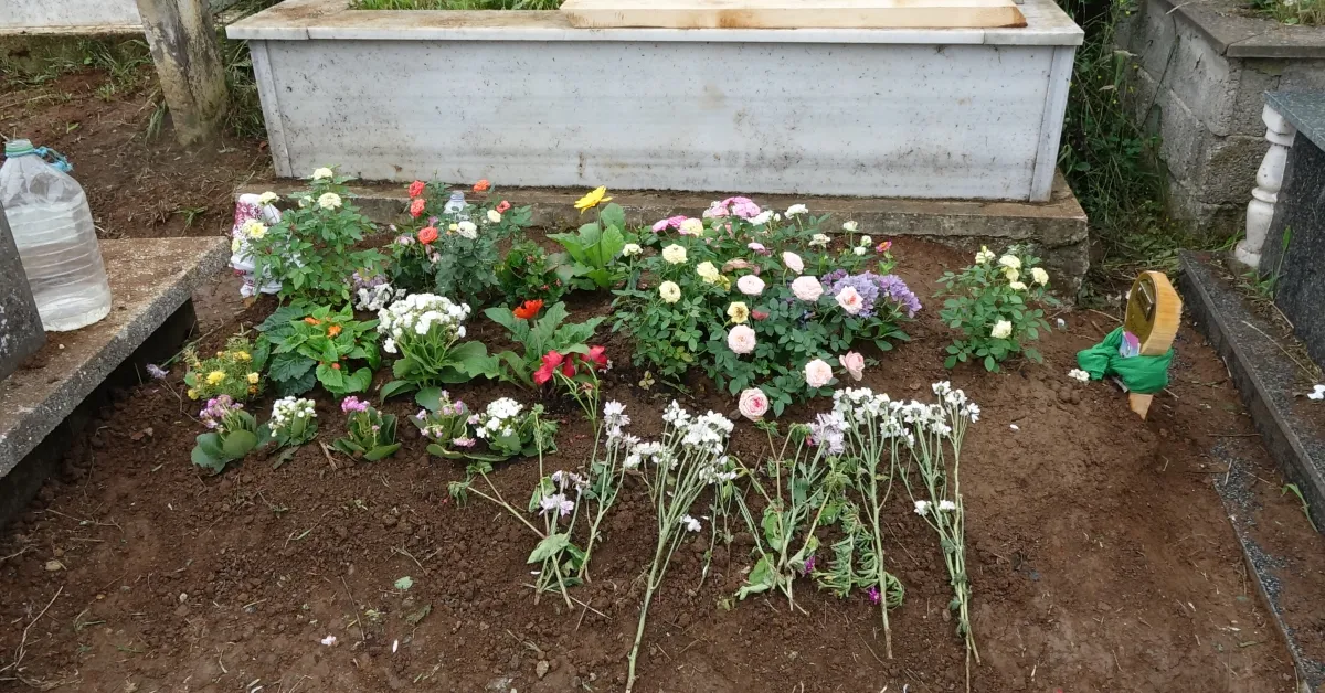 K O C A S I N I N K A T L E T T I G I S I N E M’ I N A N N E A N N E S I 849367 251882 Gencgazete