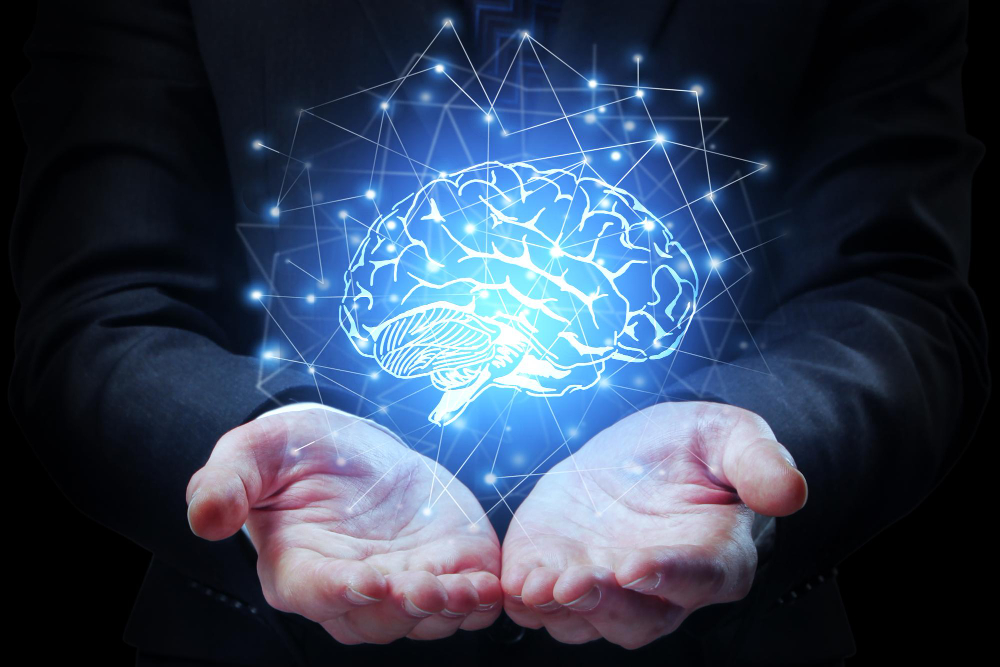 Kaç Gram Beynimiz Var Beyin Karinca Insan Gencgazete (10)