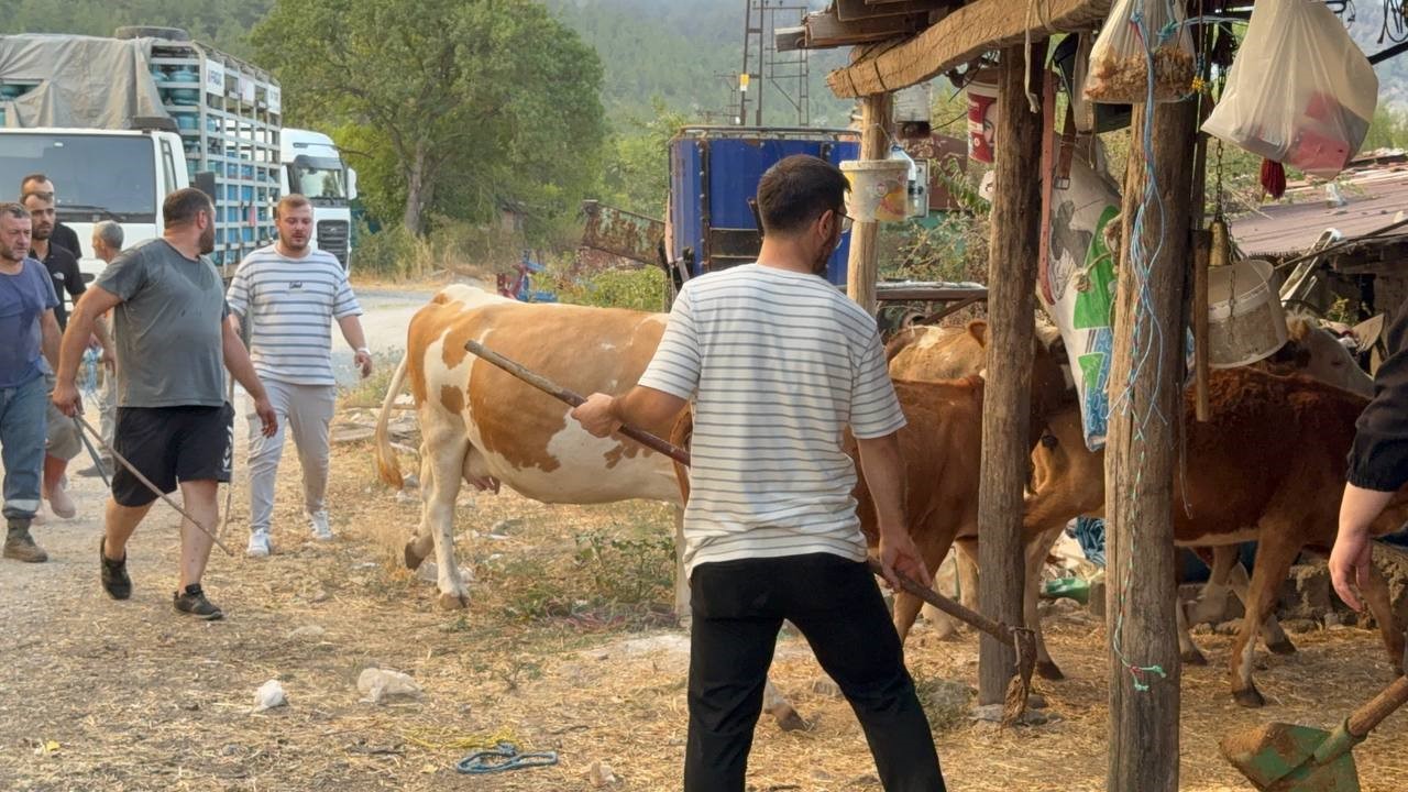 Karabük'teki Orman Yangınına Müdahale Sürüyor 80 Haneli Köy Tahliye Edildi (1)