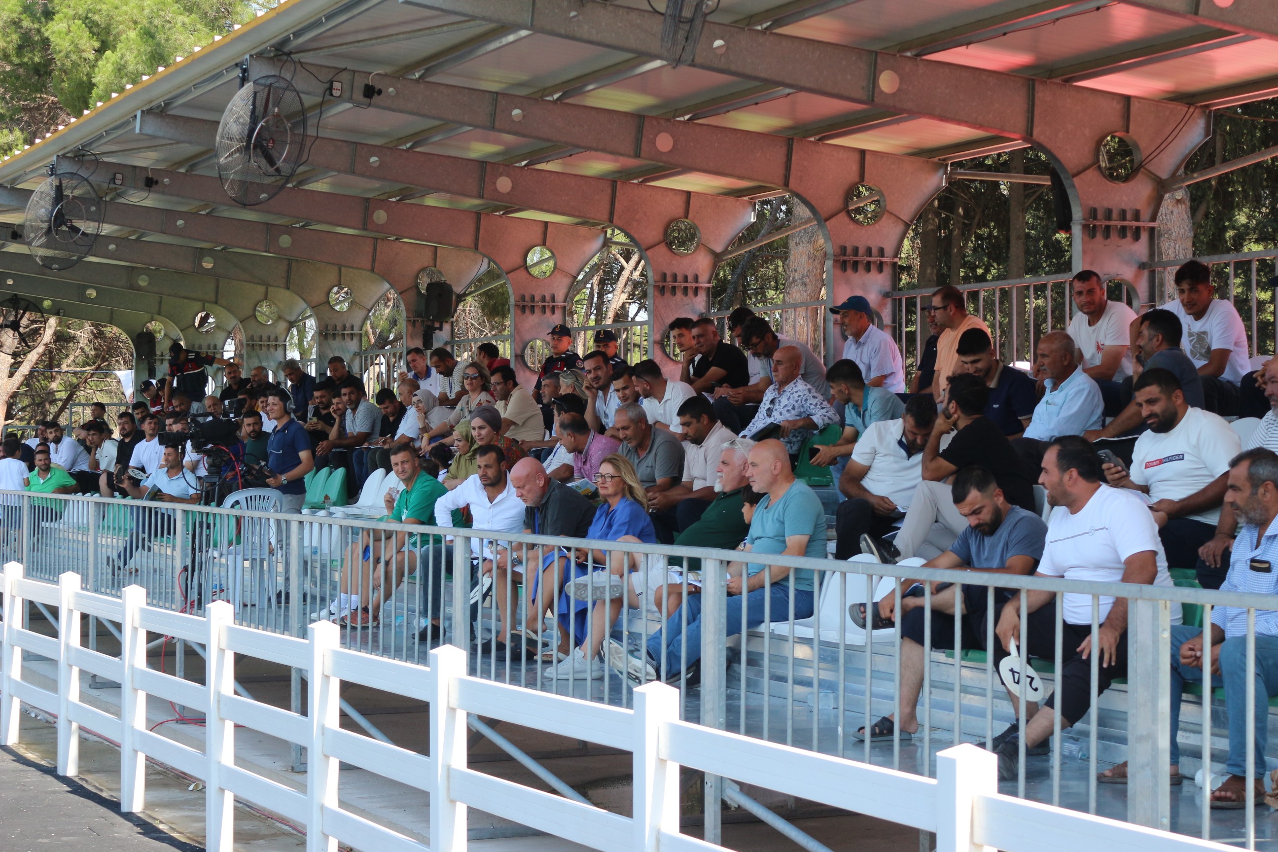 Karacabey Harası'nda Tay Satışında Rekor Gelir Ergüneş 2 Milyon 650 Bin Tl’ye Satıldı (2)