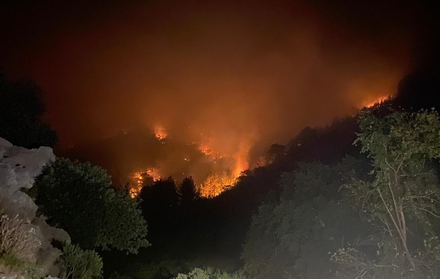 Mersin'de Iki Ilçede Orman Yangınları Sürüyor (2)