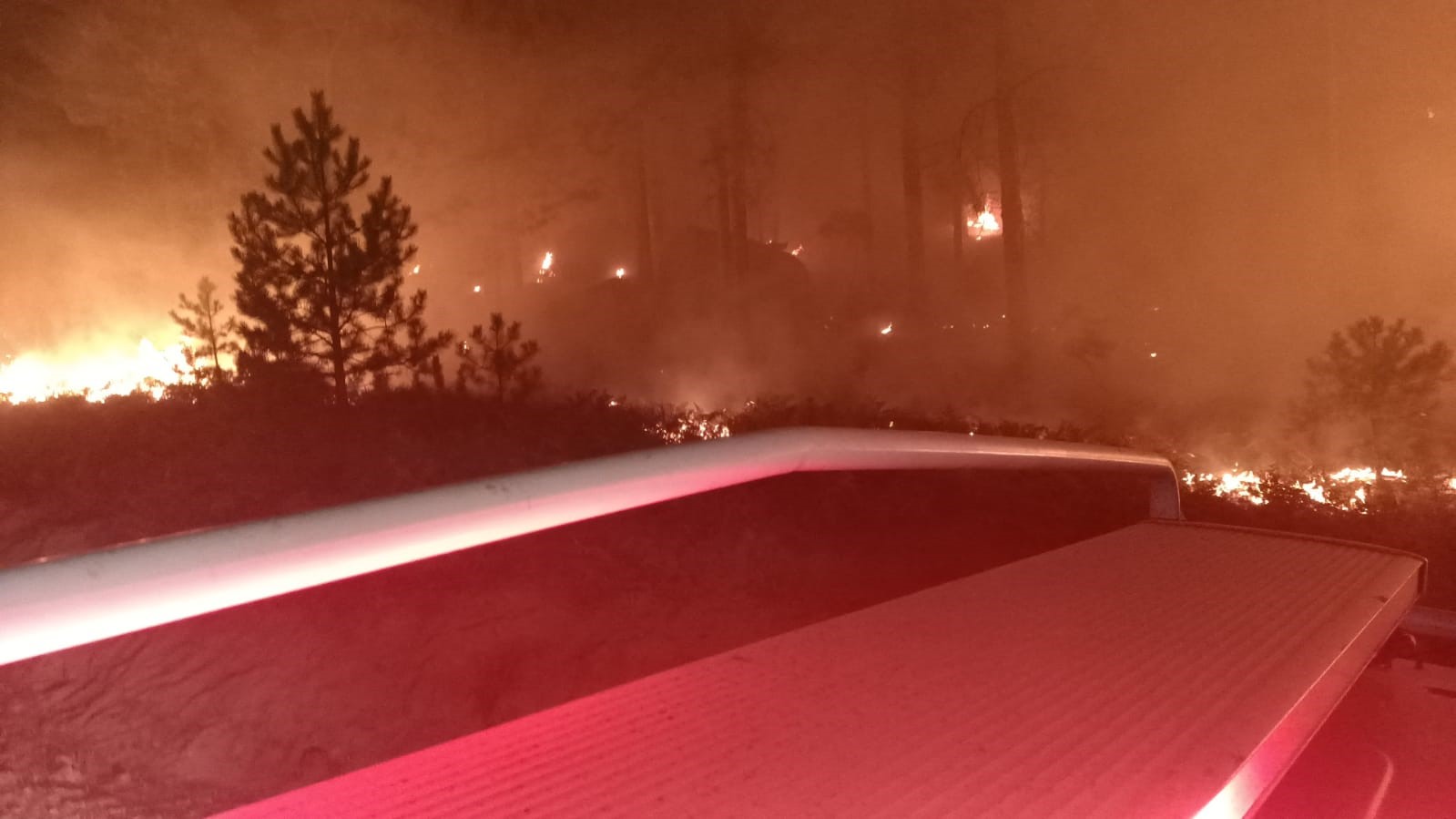 Muğla'da Orman Yangını (3)