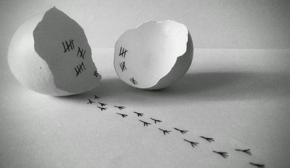 Mutasyon Nedir Mutasyona Uğramış Gen Gencgazete (18)