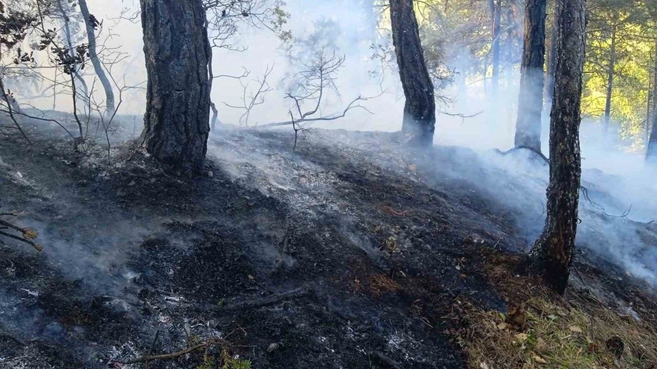 Ortu Yangini 1 Hektar Zarar Gordu