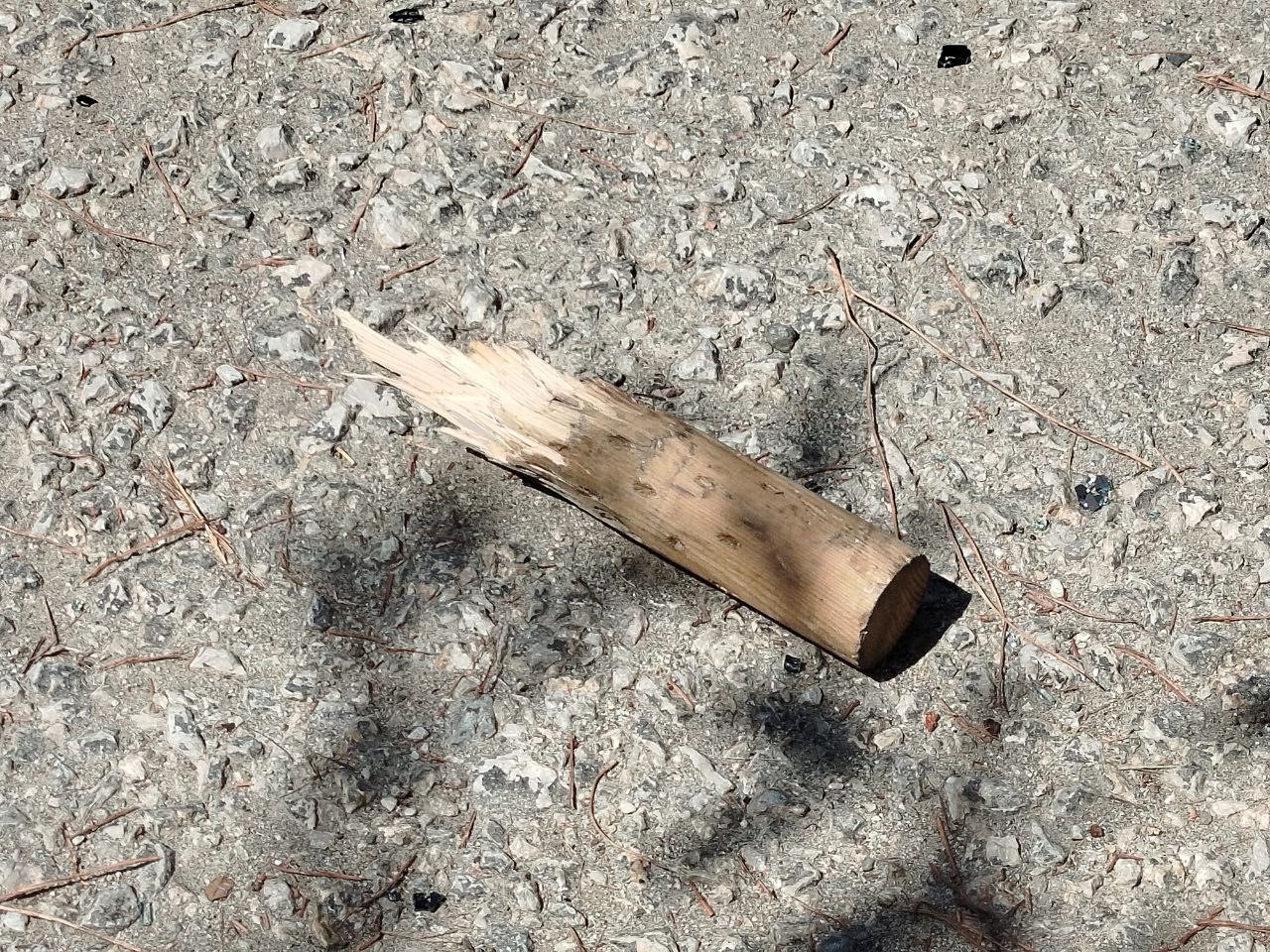 Park Halindeki Araca Sopalı Saldırı (4)