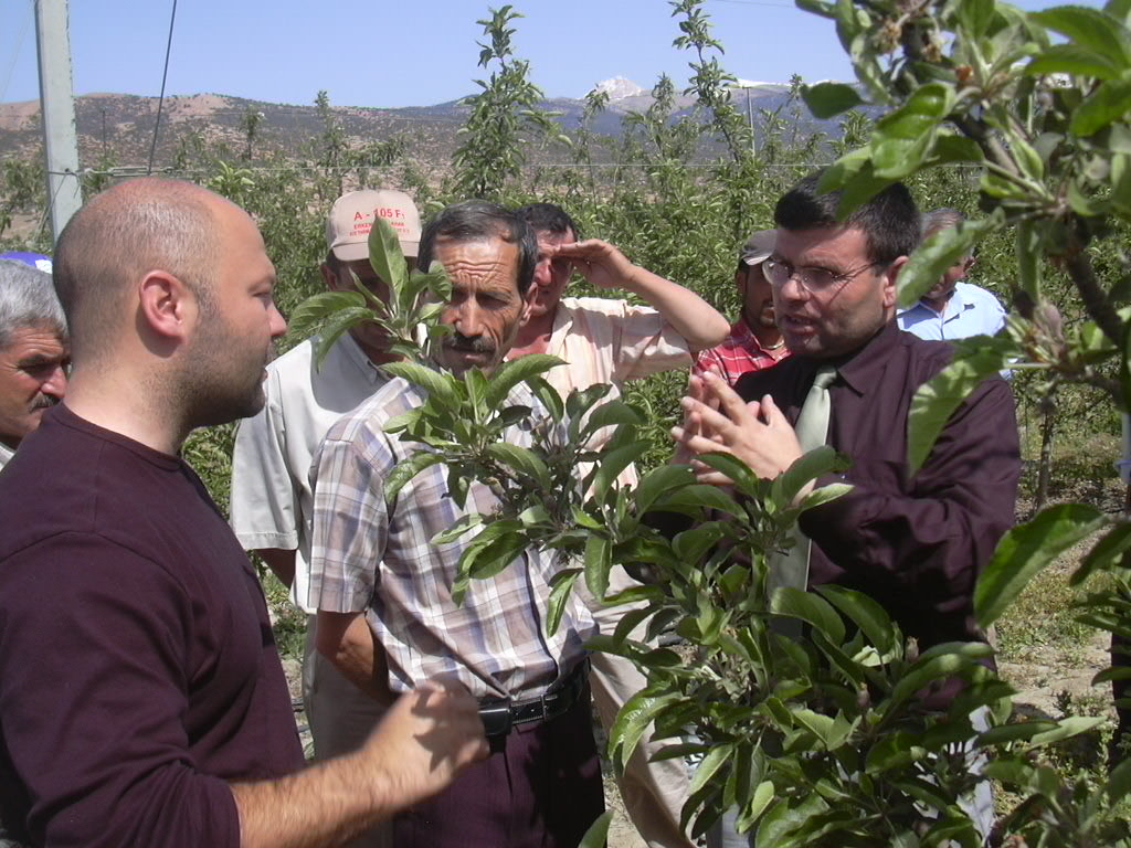 Patateste De Kestanede De Zirvede İnegöl Arsiv Haber 2007 Gencgazete (1)