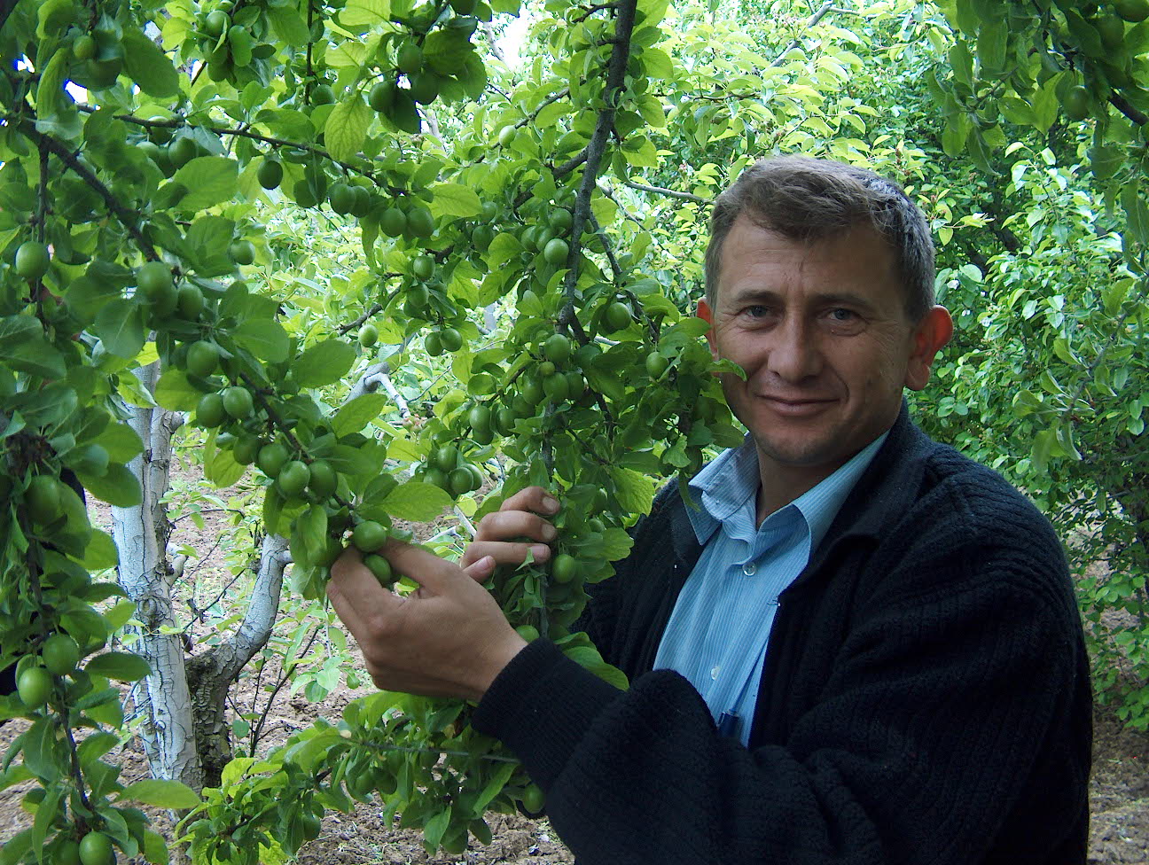 Patateste De Kestanede De Zirvede İnegöl Arsiv Haber 2007 Gencgazete (3)