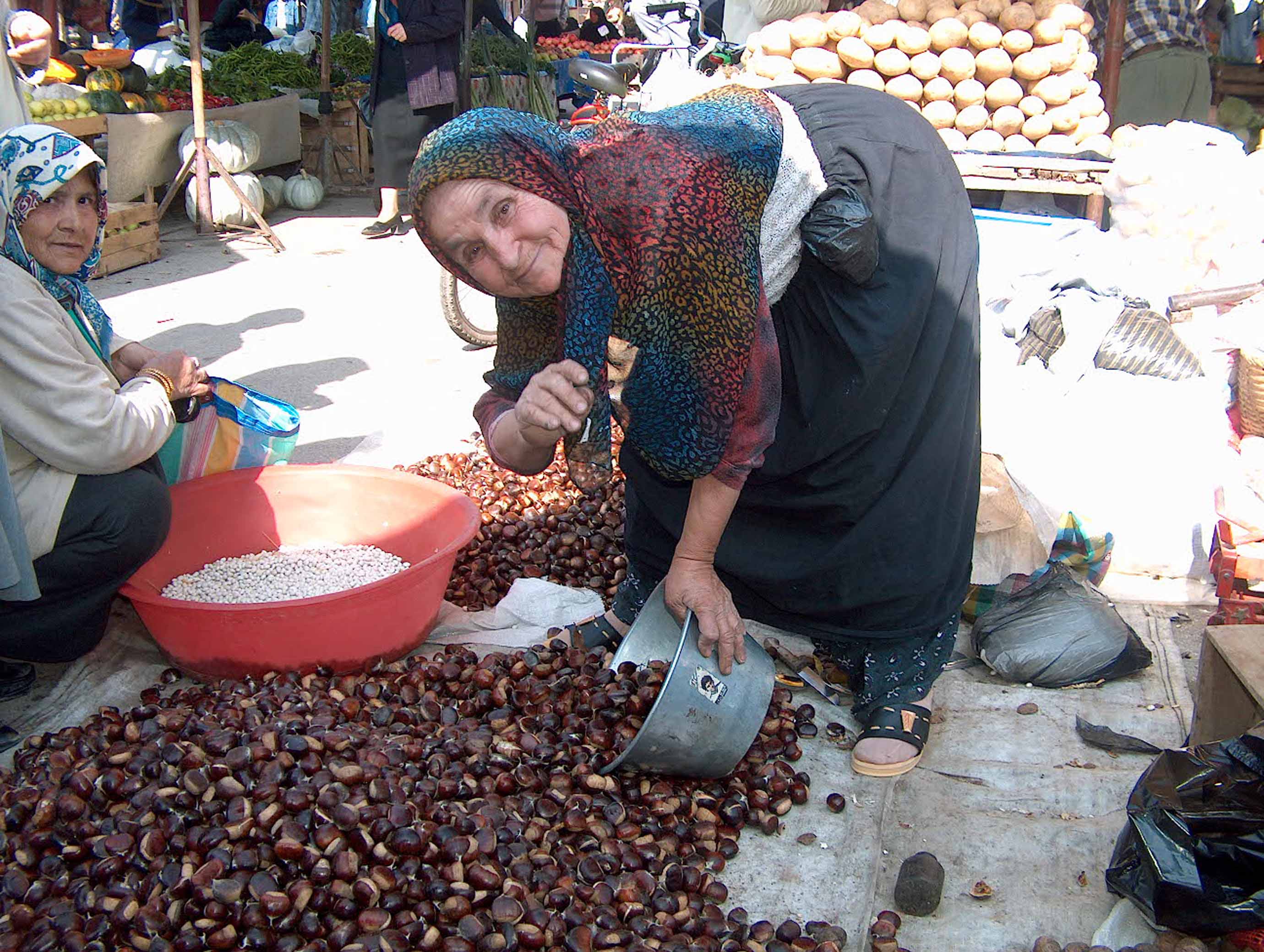 Patateste De Kestanede De Zirvede İnegöl Arsiv Haber 2007 Gencgazete (4)