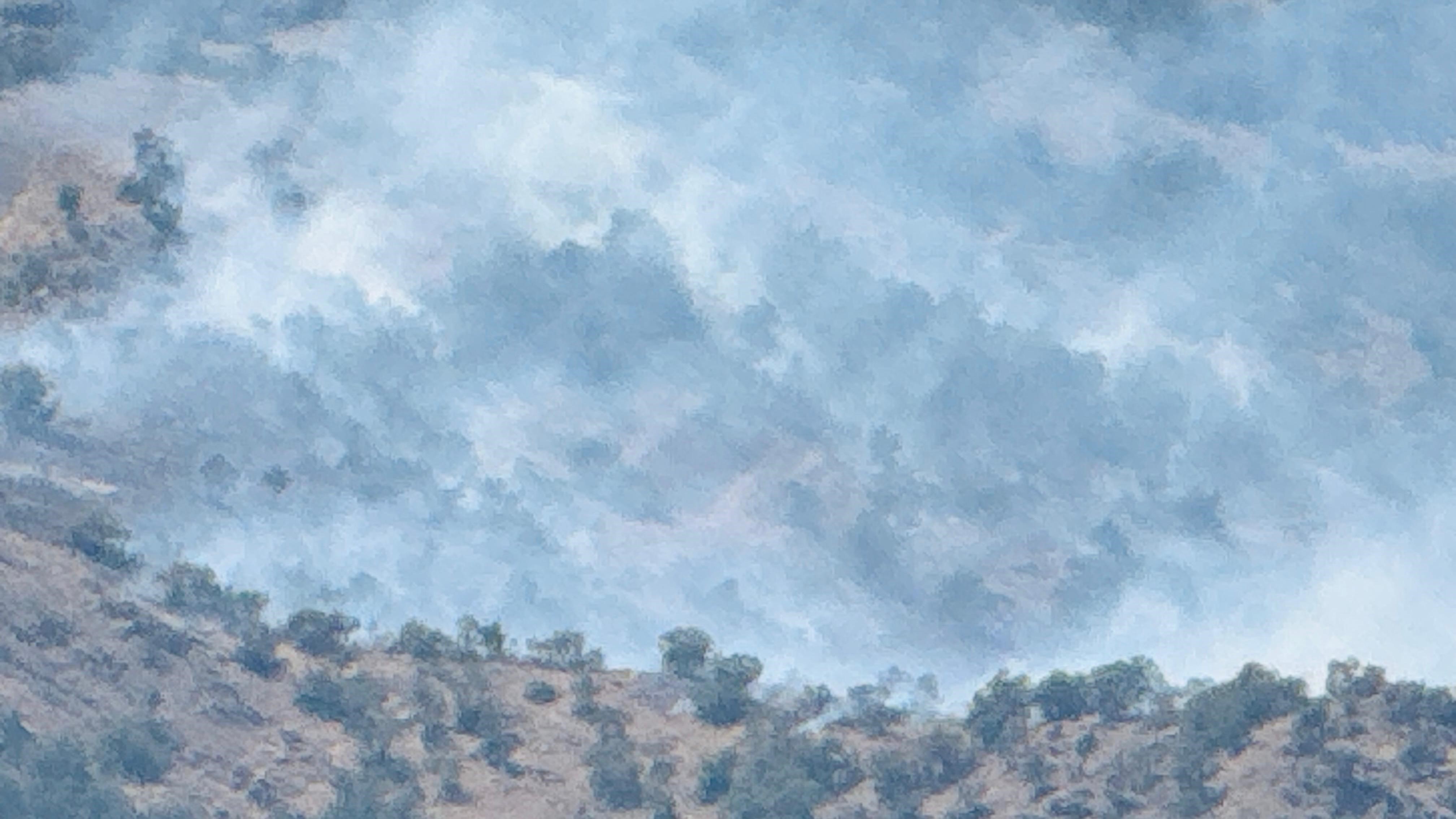 Şırnak'taki Orman Yangını 9 Saatte Kontrol Altına Alındı (3)