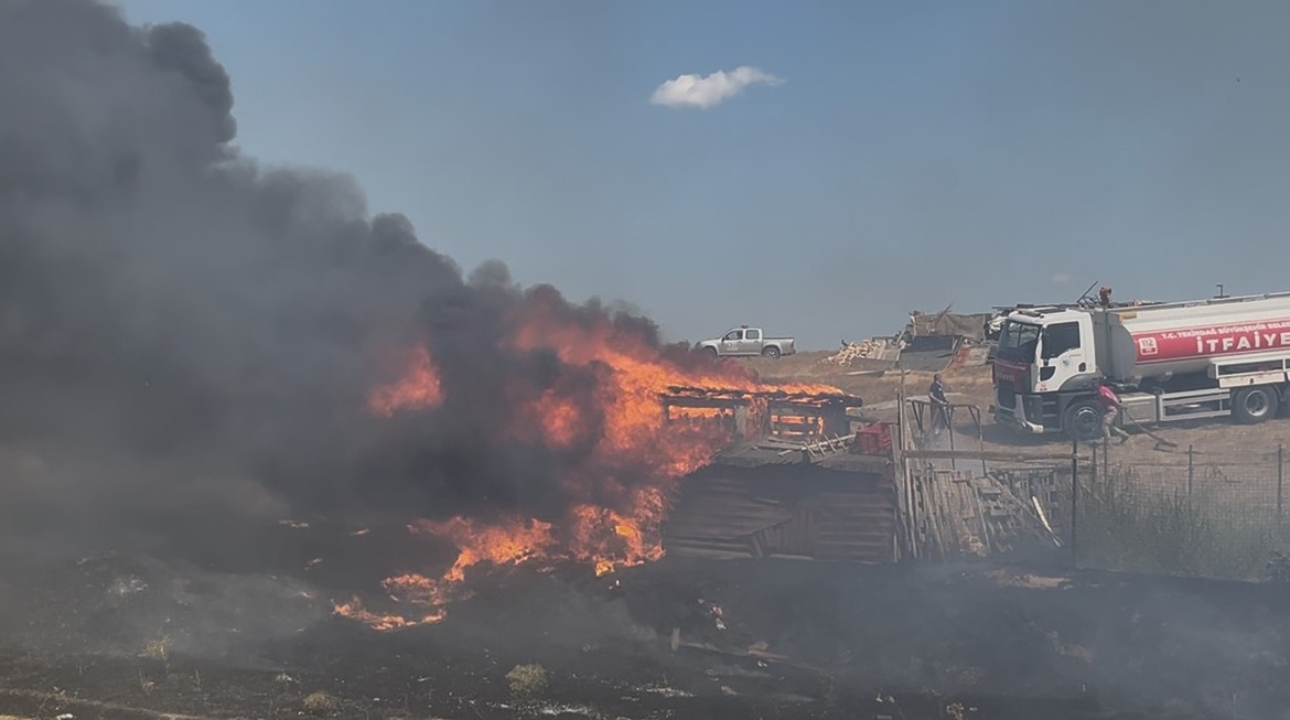 Tekirdağ'da Besi Çiftliğinde Yangın (4)